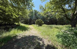 327 South Road, Bethlehem, NH 03574