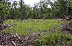 Old River Road, Mansura, LA 71350
