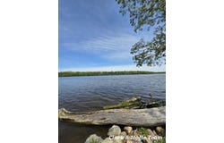 8386 Willow Drive, Lyons, MI 48851