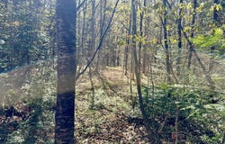 Off Haskell Road, Piseco, NY 12139