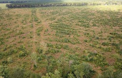 193 Acres Saxis Road, Saxis, VA 23427