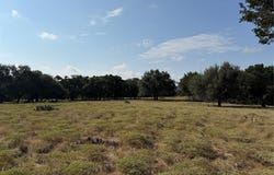 1911 Wayside Dr, Wimberley, TX 78676