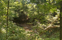 Highway C, New Haven, MO 63068