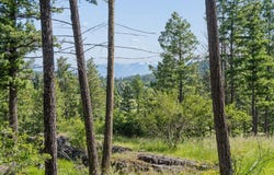 175 Aerie Place, Bigfork, MT 59911