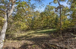 875 Windmill Road, Hollister, MO 65672