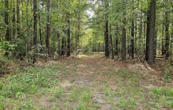 Mcgowan Road lot: 77, Bath, NC 27808