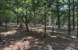 18 CATAWBA lot: 19, Clarkridge, AR 72623