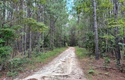 4xxx Hwy 511, Quitman, MS 39355