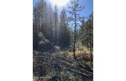 NKA Flintlock Way, Blanchard, ID 83804