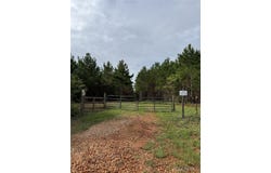 154 County Road 38 Acres, Banks, AL 36005