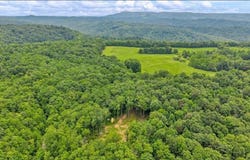 Tommys Ridge, ODD, WV 25902