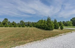 121 Southern Fields Circle, Clever, MO 65631