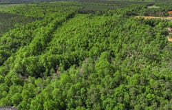 1453 Atwell Station Road, Wrens, GA 30833