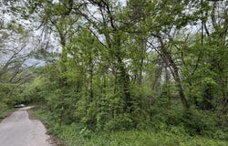 Eureka Avenue, Seligman, MO 65745