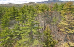 12 Eidelweiss Drive, Madison, NH 03849