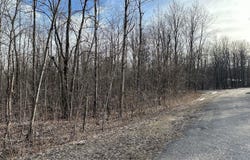 Dellwood lot: 351, Elmira, MI 49730