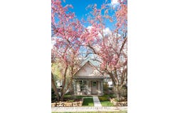 1006 E Cooper Avenue, Aspen, CO 81611