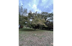 5918 Hwy 8 E, Mena, AR 71953