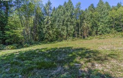 Old Tree Farm Dr, Longview, WA 98632