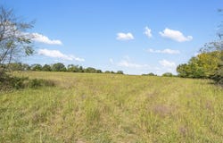 Wild Rose, Strafford, MO 65757