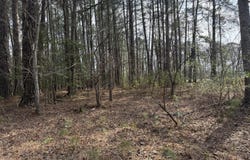 269 Creek Road, Bath, NC 27808