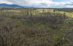 13801 E Bridges Rd, Elk, WA 99009