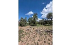 3 Deer Run Trail, Pie Town, NM 87827