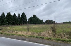 Checkerboard Rd NE, Gervais, OR 97026