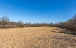 Polk Road 626, Mena, AR 71953