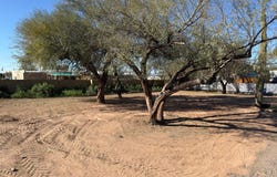 292 S OCOTILLO Drive, Apache Junction, AZ 85120