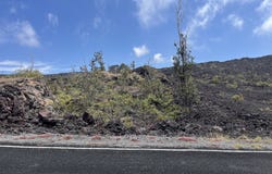 KOA LN, Ocean View, HI 96737