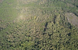 0 Airport Grade Road, Perry, FL 32348