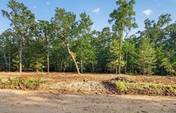 004 Cantrell Road, Mansfield, MO 65704