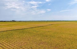 2226 Stovesand Prislovsky Road, Stuttgart, AR 72160
