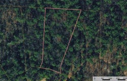Rich Pine Drive lot: 119, Purlear, NC 28665