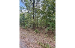 Ellen lot: 5, Higden, AR 72067
