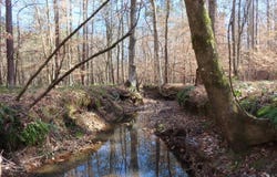 637 Cook Road, Ridgeway, SC 29130