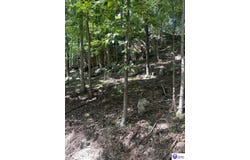 25210 SW Sonora Hardin Springs Road, Big Clifty, KY 42712