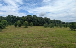 BARCLAY ROAD lot: 0, ALPINE, AL 35014