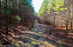 Lower Rockwood Rd Lot 19, Rockwood, TN 37854