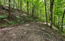 225 Coys Cove Ln, Gainesboro, TN 38562