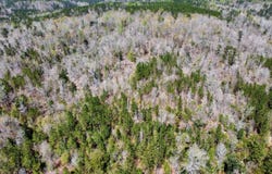 Ararat Road, Ararat, AL 36921