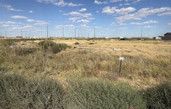 10 S County Rd 1040, Stanton, TX 79758