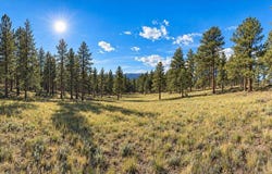 18677 State Highway 7, Lyons, CO 80540