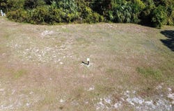 FOREST GLENN Drive, SPRING HILL, FL 34607