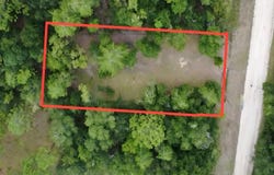 4717 NE 141ST Avenue, WILLISTON, FL 32696
