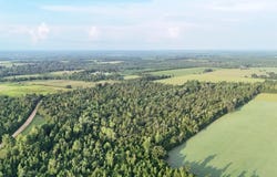 6560 Raylene Rd, FL 32442