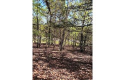 Highway 9, Morrilton, AR 72110