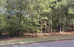 WHITE OAK CIRCLE lot: 9, DORA, AL 35062