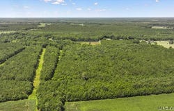 Hwy 258, Rich Square, NC 27869